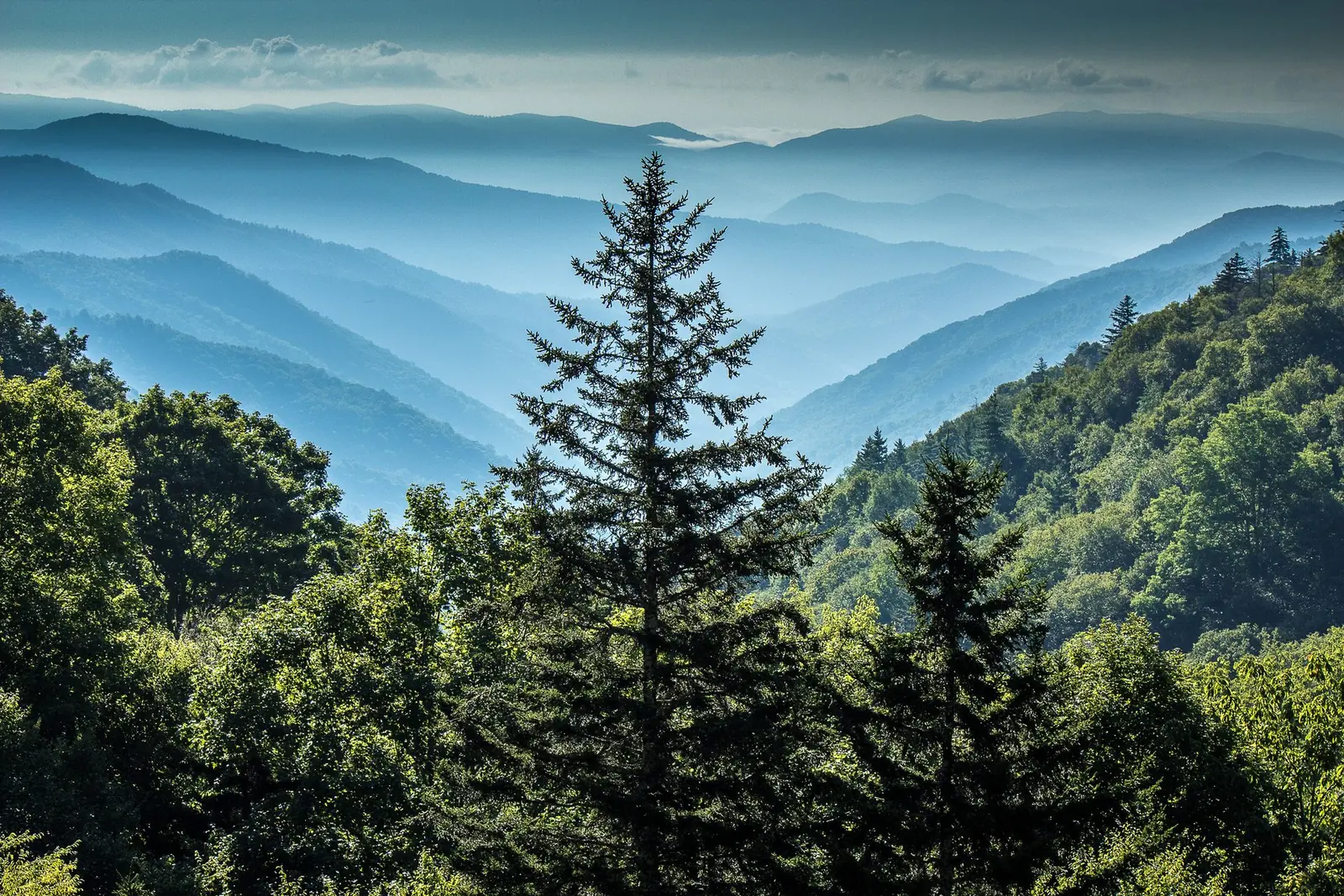 Mountain scenery at Newfound Gap