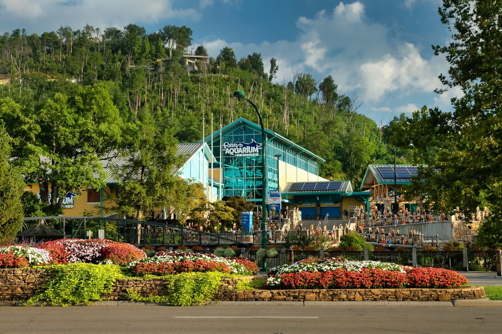 A family day at Ripley’s Aquarium of the Smokies